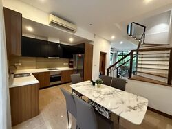 Holland Link (D10), Terrace #566604181